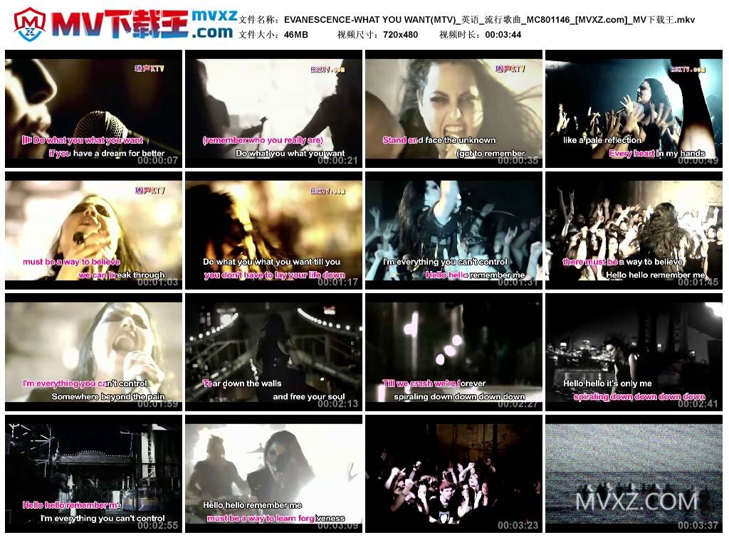 EVANESCENCE-WHAT YOU WANT(MTV)_英语_流行歌曲_MC801146